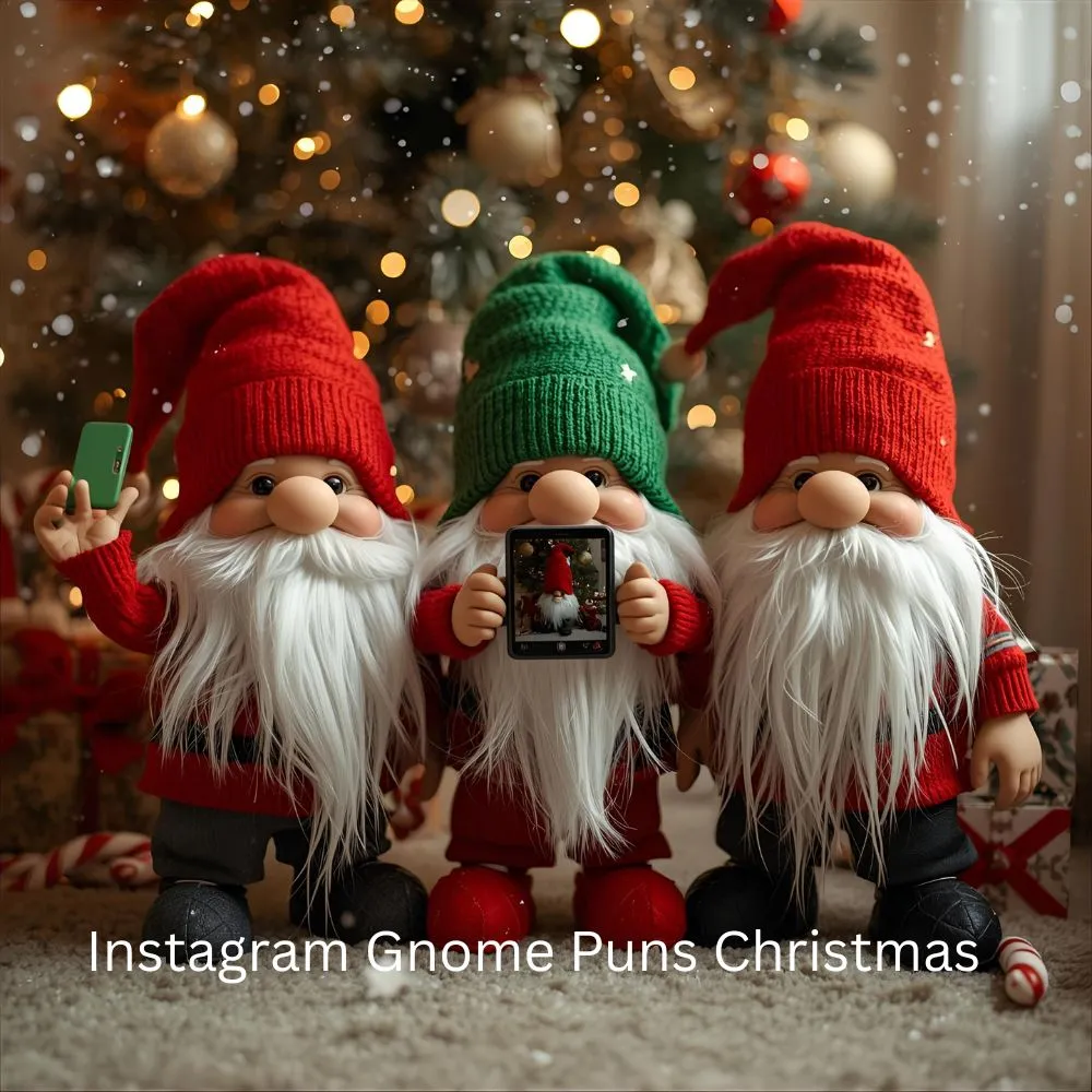 Instagram Gnome Puns Christmas 