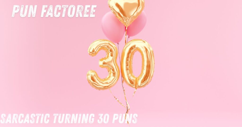 Sarcastic Turning 30 Puns 