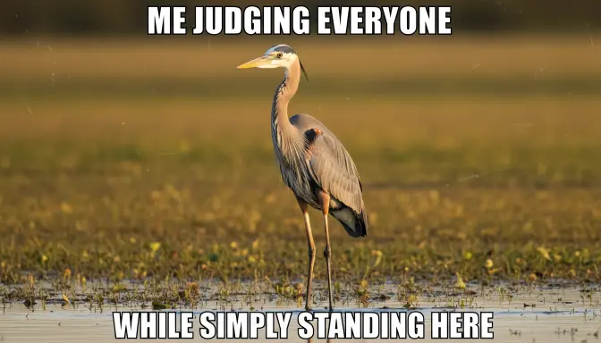 š¦ Heron Meme Funny & Viral Ideas