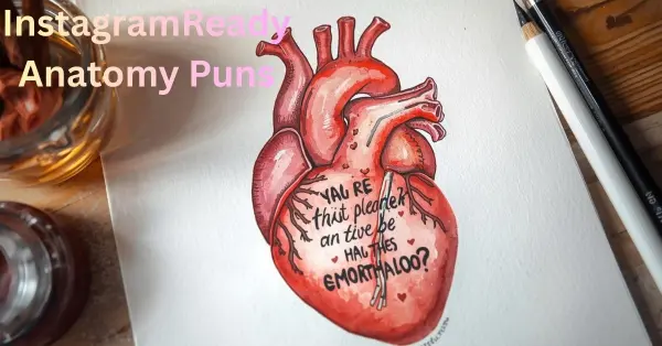Instagram-Ready Anatomy Puns