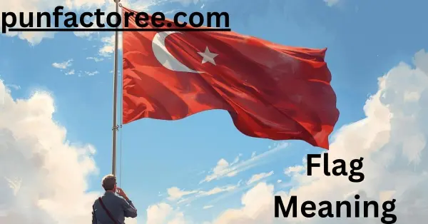 Flag Meaning