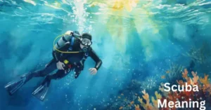 Scuba Meaning
