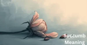 Succumb Meaning