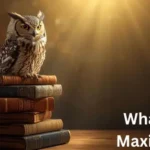 What Does Maxim Mean