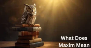 What Does Maxim Mean